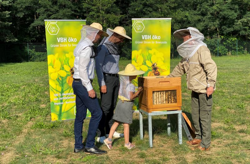 Bienenstock auf Freifläche der Kläranlage Hoyerswerda