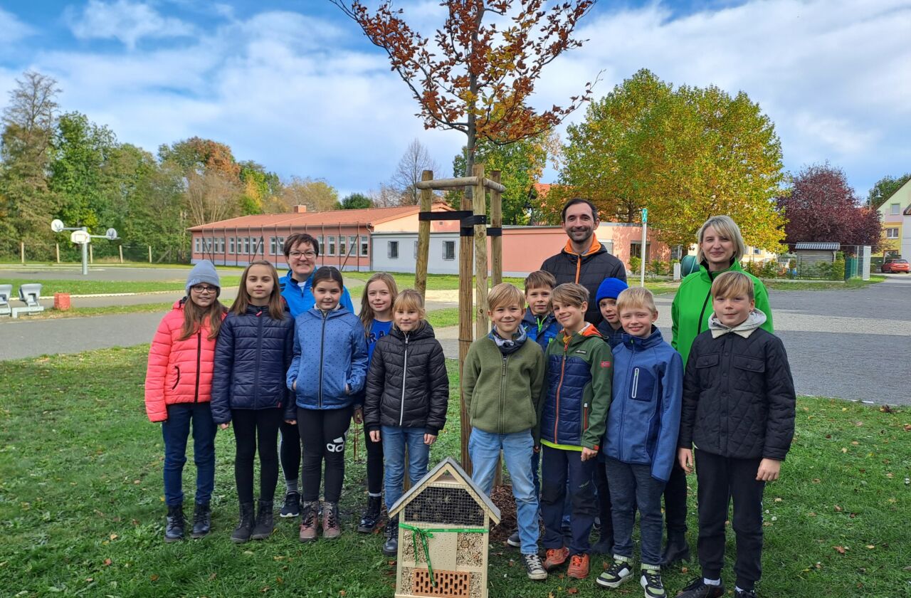 Das Bild zeigt eine Rotbuche der Krabat-Grundschule Wittichenau mit vielen lächelnden Grundschulkindern.
